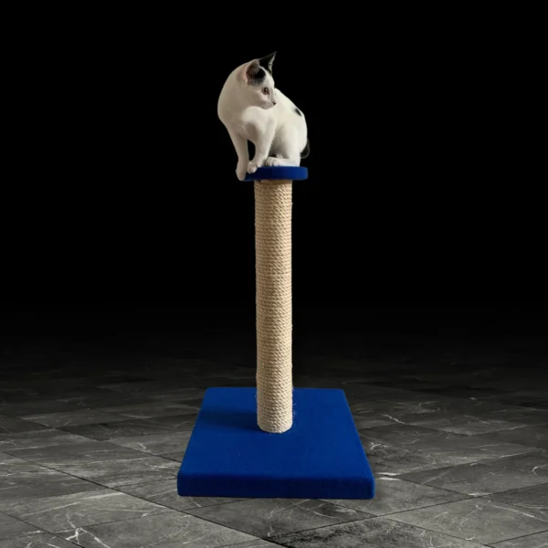 Cat on a compact cat scratching post