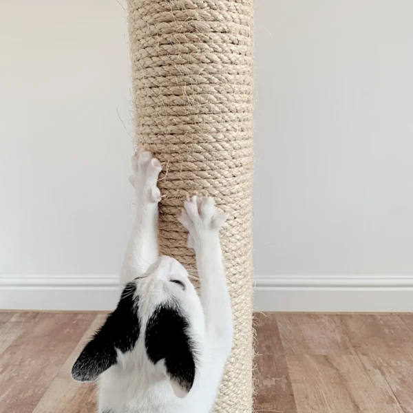 Cat scratching post